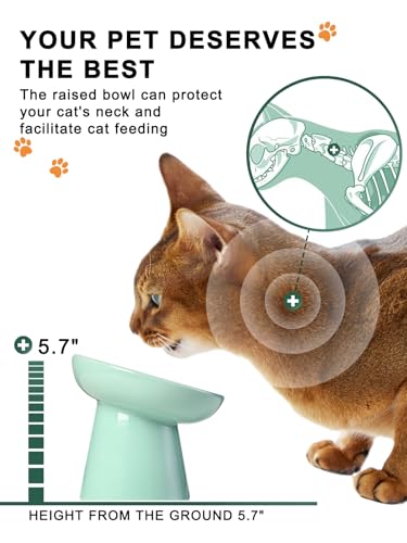 Slow Feeder Cat Bowl (Green)