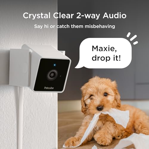 Cam (2-Pack) – Wi-Fi Pet & Security Camera with App