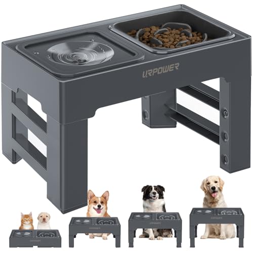 2-in-1 Elevated Slow Feeder Dog Bowls with No-Spill Water Bowl (Grey / Slow Feeder)