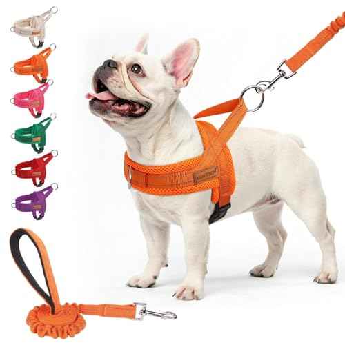 Dog Harness Medium Sized and Leash Set (Orange / M: Chest 21"-26.7")