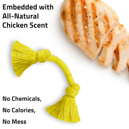 Dog Toys | Dri-Tech Rope Toy Tug of War Rope for Aggressive Chewers | Medium Chicken Scented Toy - Easy to Clean and Made from Non Toxic Materials (Medium / Chicken)