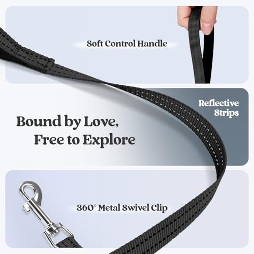 Dog Harness Small Sized and Leash Set (Black / Xxxs (chest: 10.8 - 11.8"))