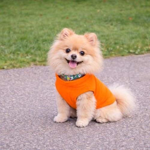 Dog Fleece Vest Sweater with Leash Ring (XS (2-4lbs) / Orange)
