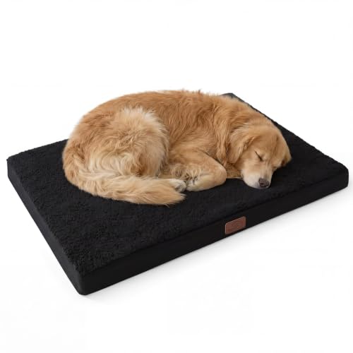 XL Dog Bed Extra Large Pet Bed with Comfy Sherpa (44"L x 32"W x 3"Th / Black)