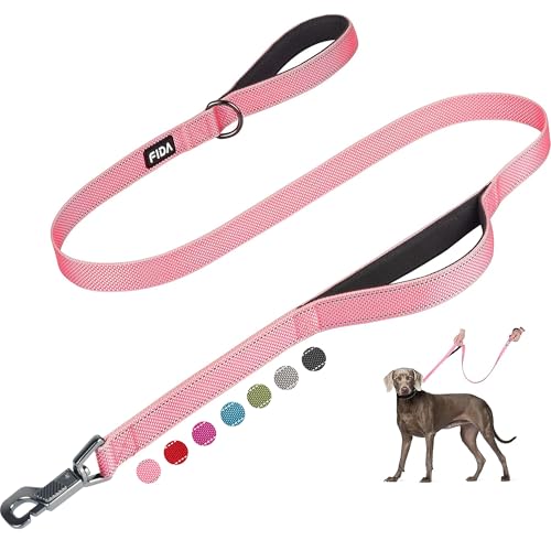 Heavy Duty Dog Leash for Medium Large Dogs (5 Feet (Pack of 1) / Pink)