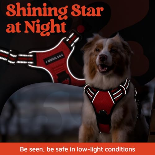 Dog Harness for Large (Red / Large)