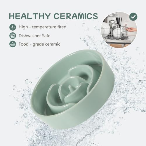 Elevated Slow Feeder Dog Bowls (Light Green)