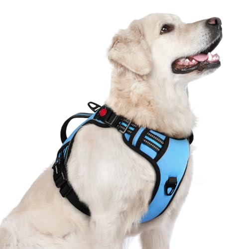 Large Dog Harness (Large / Light Blue)