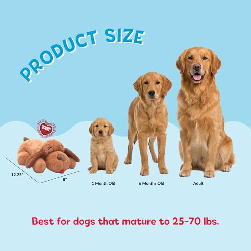 Snuggle Puppy Heartbeat Toy (Biscuit / 1 Count (Pack of 1))