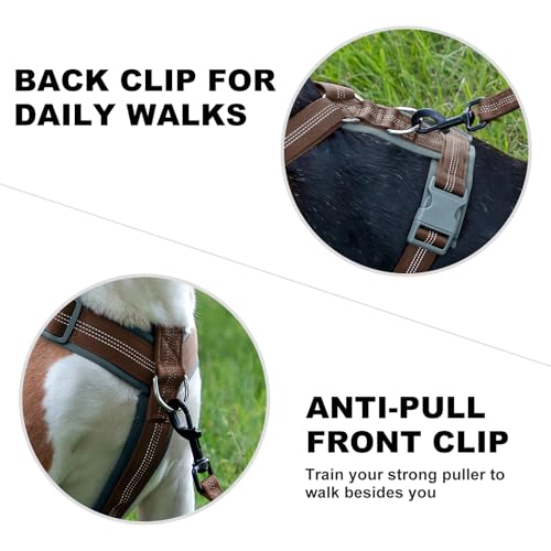 No Pull Dog Harness (XS / Chocolate)