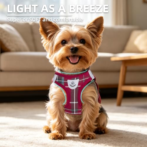 Dog Harness Collar and Leash Set No Pull for Small Medium Sized (Red / XS (CHEST 13"-14.5"))
