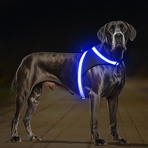 Light Up Dog Harness (Extra Large / Blue)