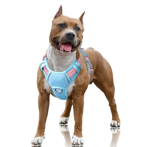Dog Harness for Large Dogs No Pull Dog Vest ID Tag Pocket (Baby Blue & Baby Pink / Large)