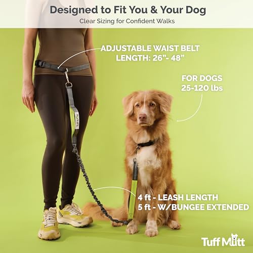 Waist Hands Free Dog Leash for Walking Running Hiking (gray/teal)