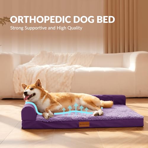 Orthopedic Large Dog Bed Washable Pet Sofa Bed 56''X40''Purple (Purple / 56"L x 40"W x 3.5"Th)