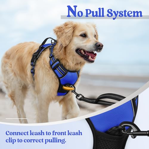 Dog Harness No Pull for Large Dogs with 2 Leash Clips (X-Large / Dazzling Blue)