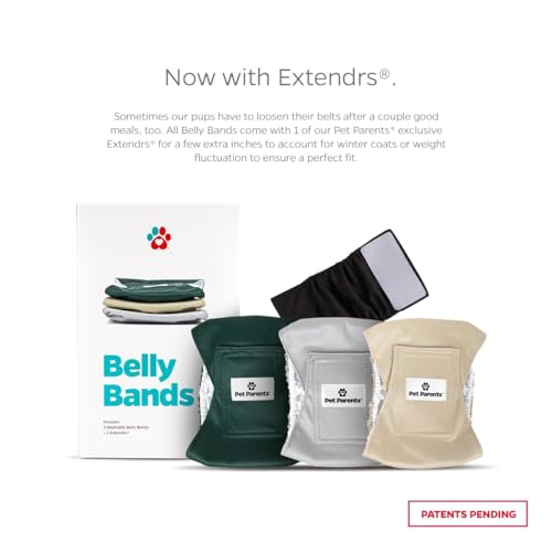 Washable Belly Bands for Male Dogs (X-Large (25-34") / Spruce)
