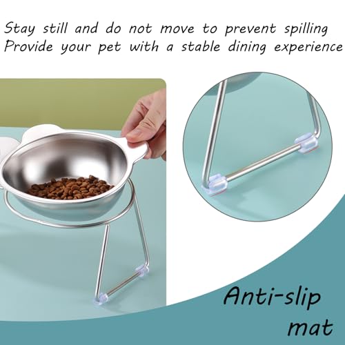 3 Pack 15° Tilted Cat & Dog Bowls (3 Pack)