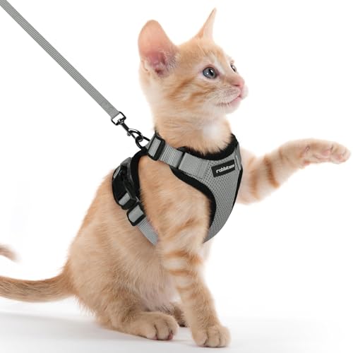 Cat Harness and Leash Set (Xxs / Grey)