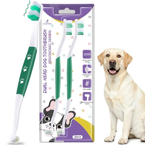 Dog Toothbrush (Green / 1 Count (Pack of 2))