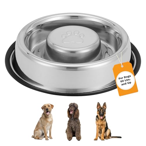 Stainless Steel Slow Feed Bowl (5 Cup - Non Tip)