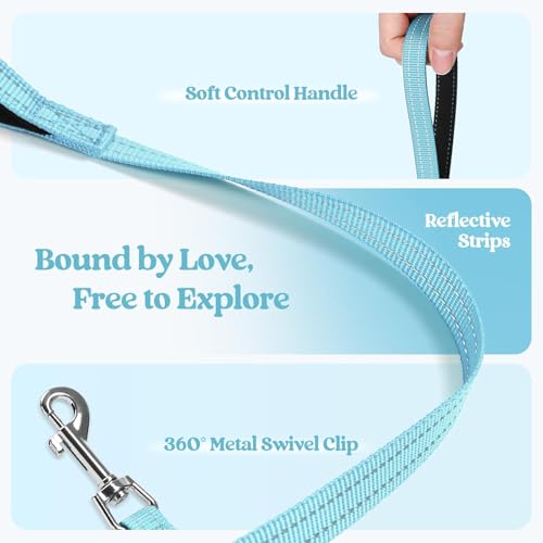Dog Harness Medium Sized and Leash Set (Mint Blue / M (chest: 16 - 18.5"))