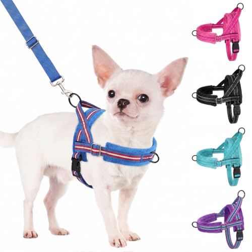 No Pull Small Dog Harness and Leash Set with Front Clip (XX-Small / Dark Blue)