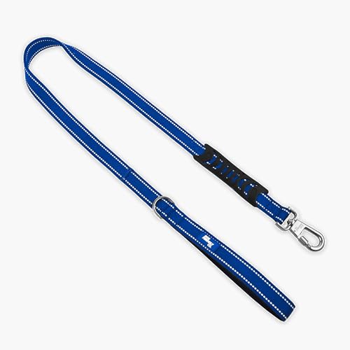 Classic Dog Leash for Daily Walks (Classic Blue / Regular)