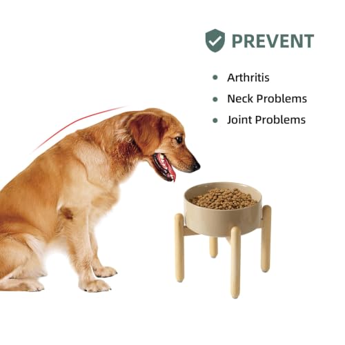 Ceramic Dog Bowls Elevated (Greige)