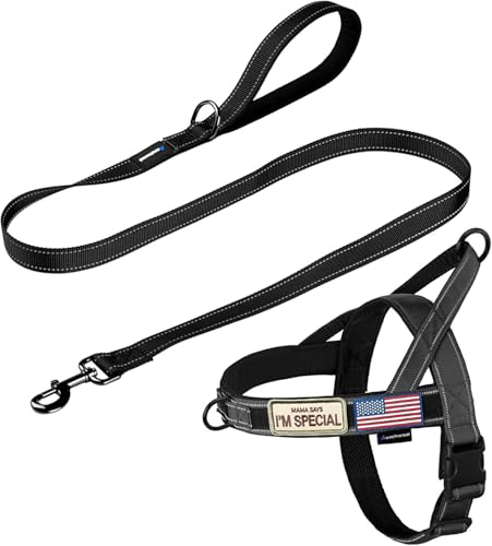 No Pull Dog Harness with Padded Handle+5 Ft Leash (XL / Black Set)
