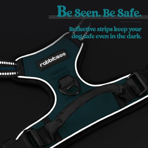 Dog Harness No Pull with 2 Leash Clips (X-Large / Blue Coral)