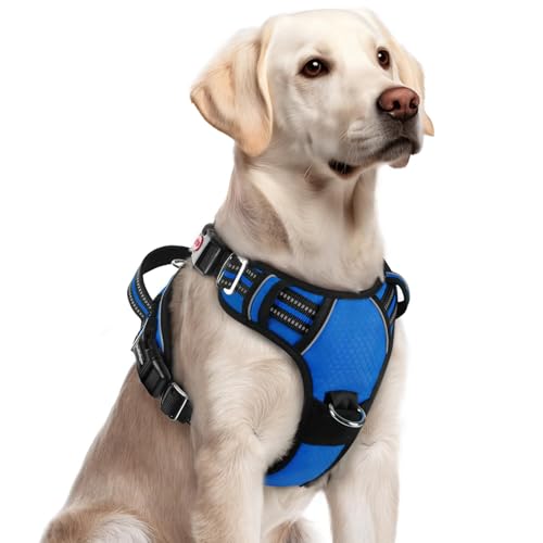 Dog Harness for Large (Royal Blue / Large)