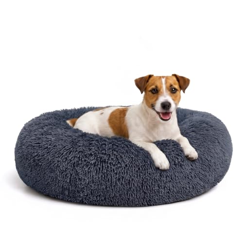 Orthopedic Dog Bed Comfortable Donut Cuddler Round Pet Beds Ultra Soft Washable Dog and Cat Cushion (S-PLUS(27''x 27'') / Dark Gray)