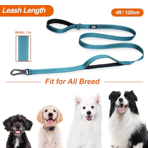 4FT 1IN Heavy Duty Dog Leash for Large Dogs with 2 Padded Handles (Blue / 1 in x 4 ft)