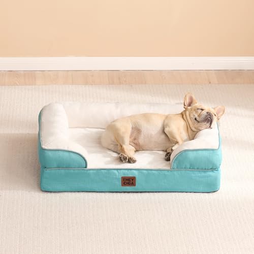 Orthopedic Dog Bed (Turquoise Blue / 30.0"l X 20.0"w X 6.5"th)