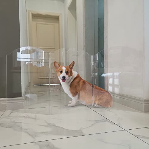 Clear Acrylic Freestanding Dog Gates for the House (3 Panel - 60''W x 24''H)