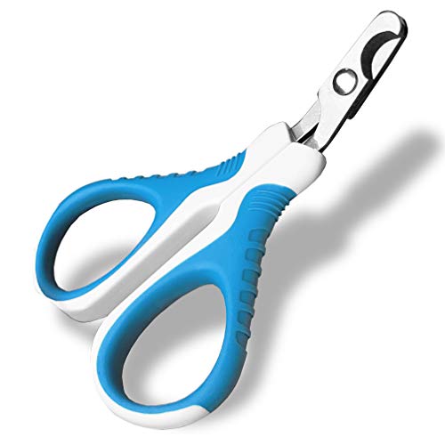 Professional Pet Nail Clippers & Trimmer for Cats and Small Animals (For Cats and Small Animals)