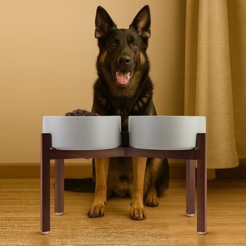 Raised Ceramic Dog Bowls Set with Non (60.87 Oz / Gray)