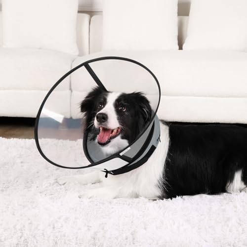 Sponge Core Dog Cone (Gray / Size 1(Neck: 7.5"- 9.7"))