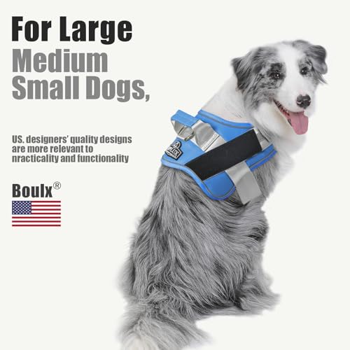 Dog Harness No (Large (Pack of 1) / BluePool)
