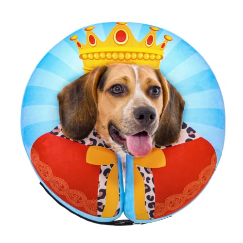 Dog Cone Alternative After Surgery Donut Collar (Sky Blue King / M(Neck 13"-16"))