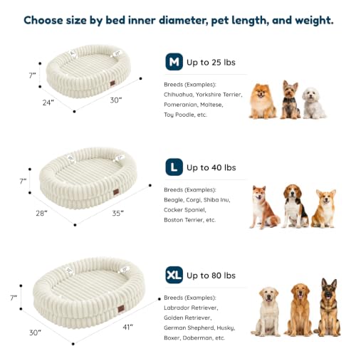 Orthopedic Dog Bed (Cream / L(35*28*7))