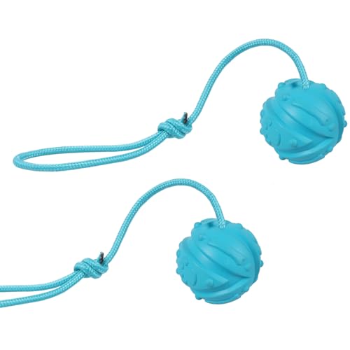 Dog Training Ball on Rope (2pcs blue)
