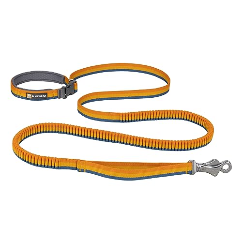 Roamer Bungee Dog Leash (5.5'-7' / Yellow Snow)