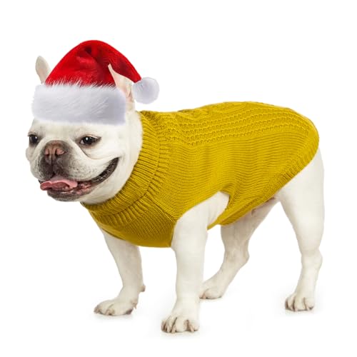 Cat Sweater Stretchy (Dark Yellow / XL)