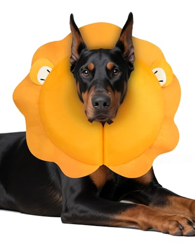 Inflatable Dog Cone (Lion / L+(11"-14"))