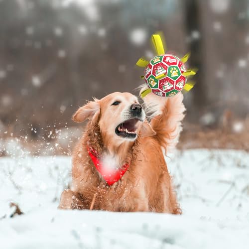 Christmas Dog Toys (Christmas 1 / 8 Inch)