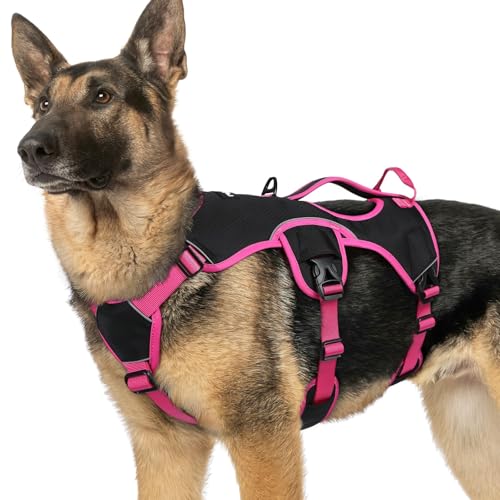 Escape Proof Dog Harness for X (Rose & Black / X-Large)