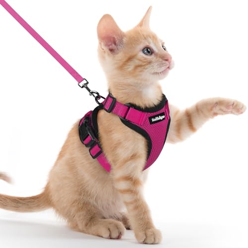 Cat Harness and Leash Set (Xxs / Rose Red)