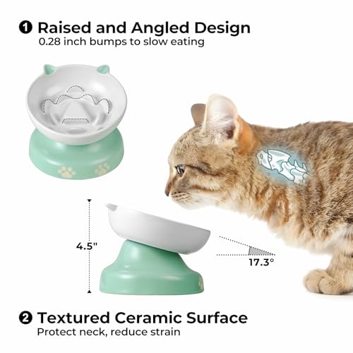 Slow Feeder Cat Bowl (Green)